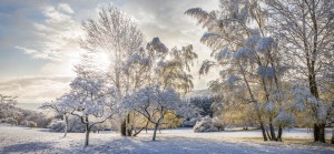 Später Winterinbruch im Taunus