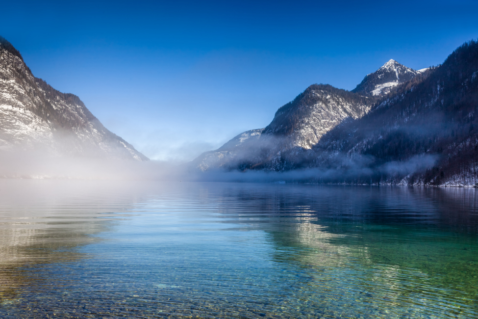 Ufer des Königssees bei St. Bartholomä im Nebel, Oberbayern, Bayern, Deutschland