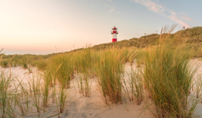 Dünenlandschaft am Leuchtturm List-Ost auf der Ellenbogen-Halbinsel, Sylt, Schleswig-Holstein, Deutschland