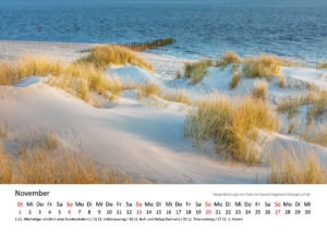 November