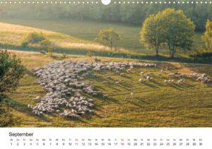 September