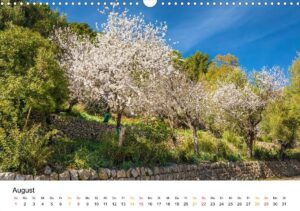 August