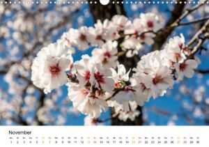 November