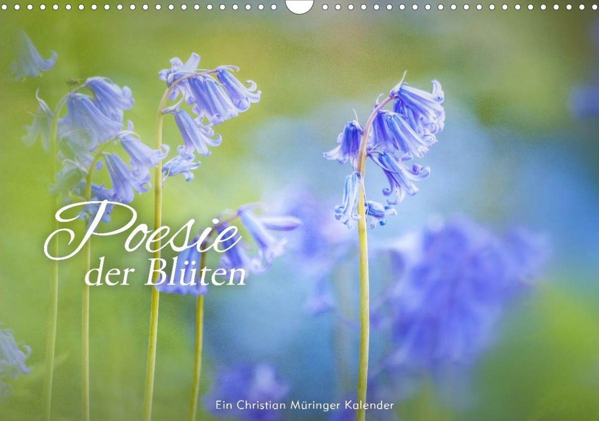 Kalender Poesie der Blüten 2027