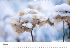 Januar