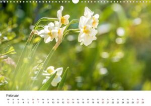 Februar