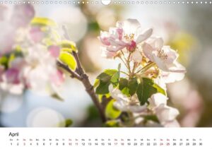 April