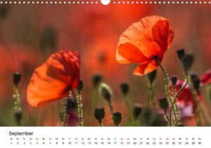 September