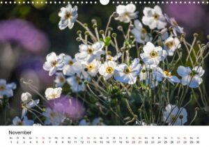November