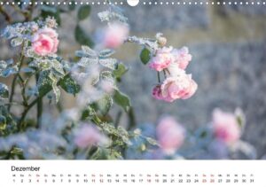 Dezember