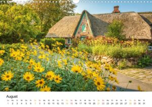 August