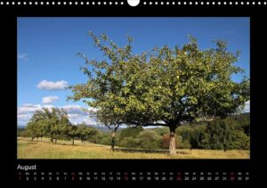 August
