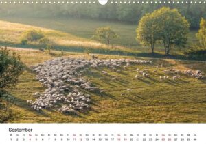 September